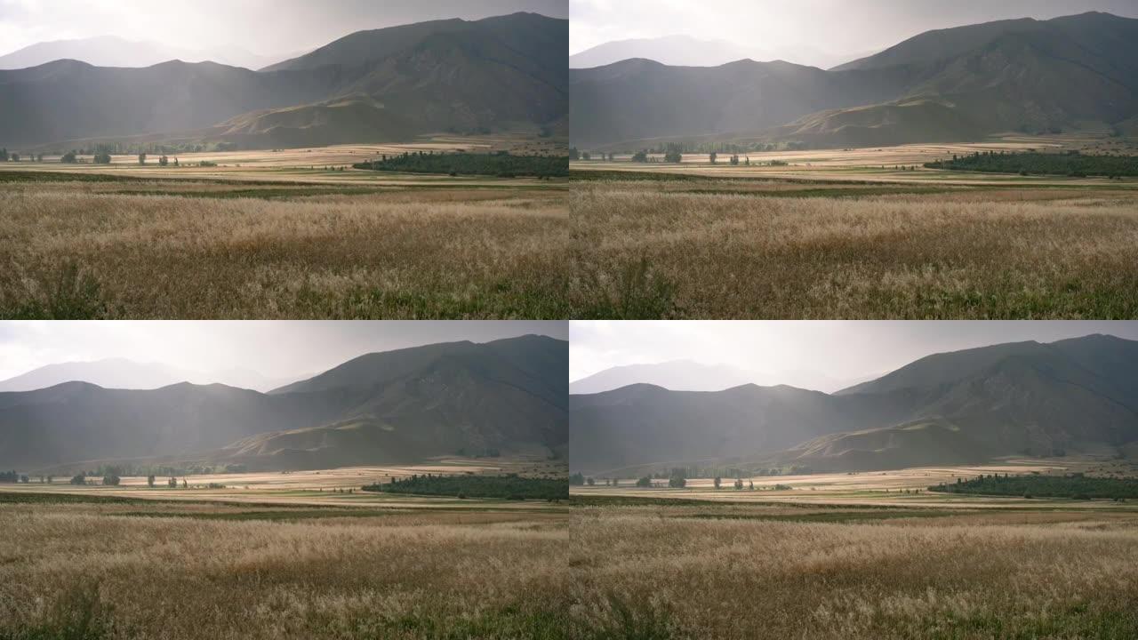 吉尔吉斯斯坦夏季的农业