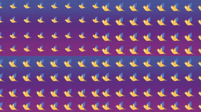 紫色背景上的多只鸟的动画
