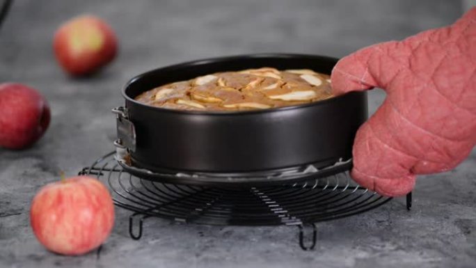 新鲜出炉的苹果和肉桂蛋糕放在圆形罐头里。