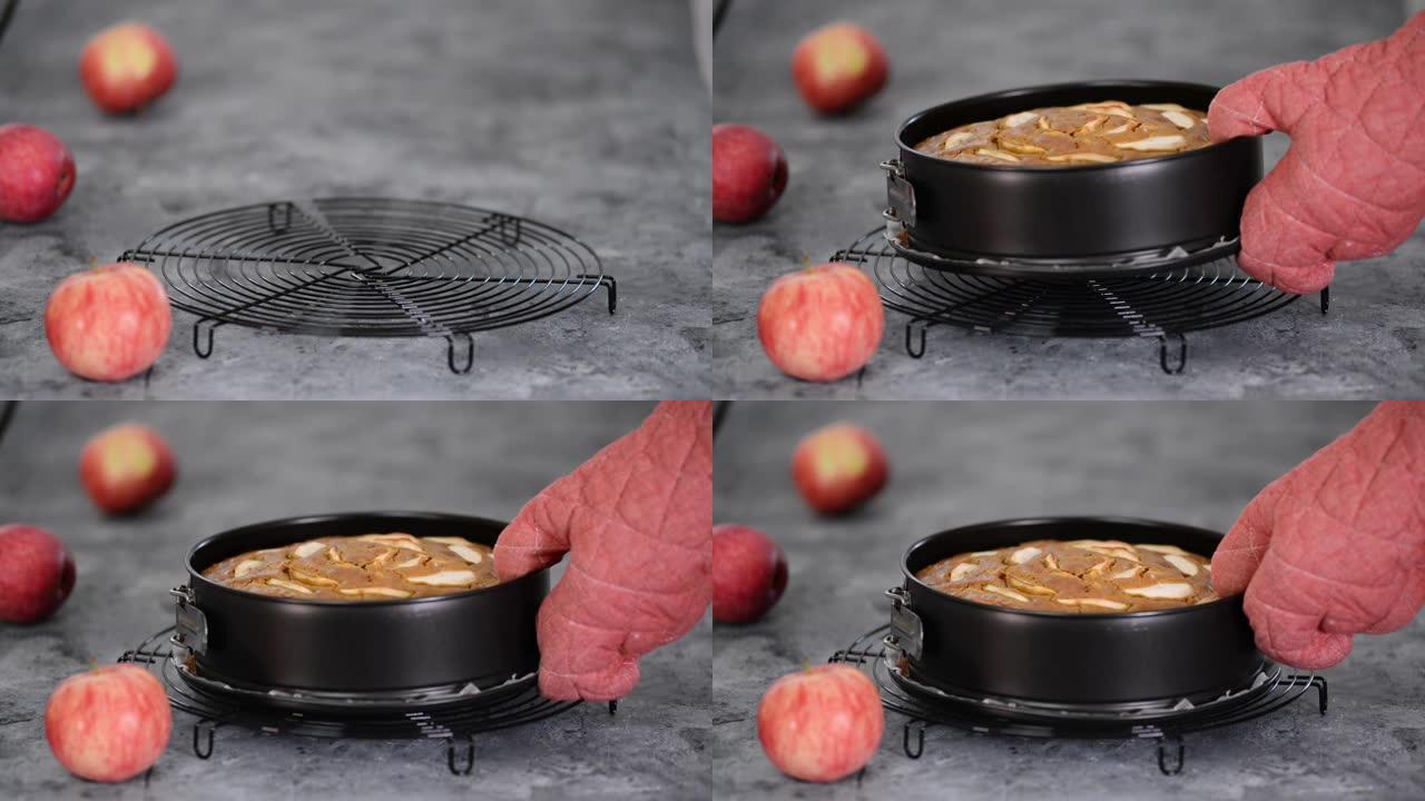 新鲜出炉的苹果和肉桂蛋糕放在圆形罐头里。
