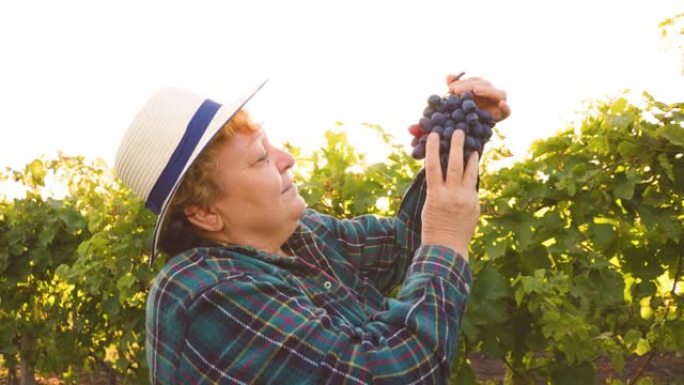 戴着帽子的女酿酒师的侧视图显示了一个大的红葡萄。