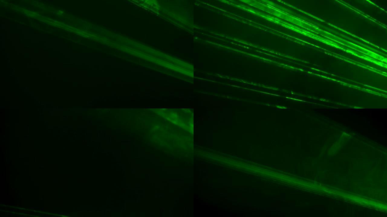 明亮的绿色霓虹灯激光光束在烟熏的黑暗工作室中闪烁并发出光。舞台灯。舞台上的灯光、照明、戏剧烟雾。假日