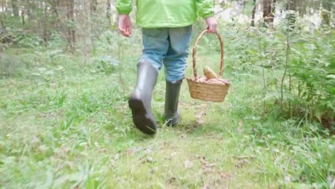 男孩走在美丽的森林里。针叶林采摘蘑菇。走进去