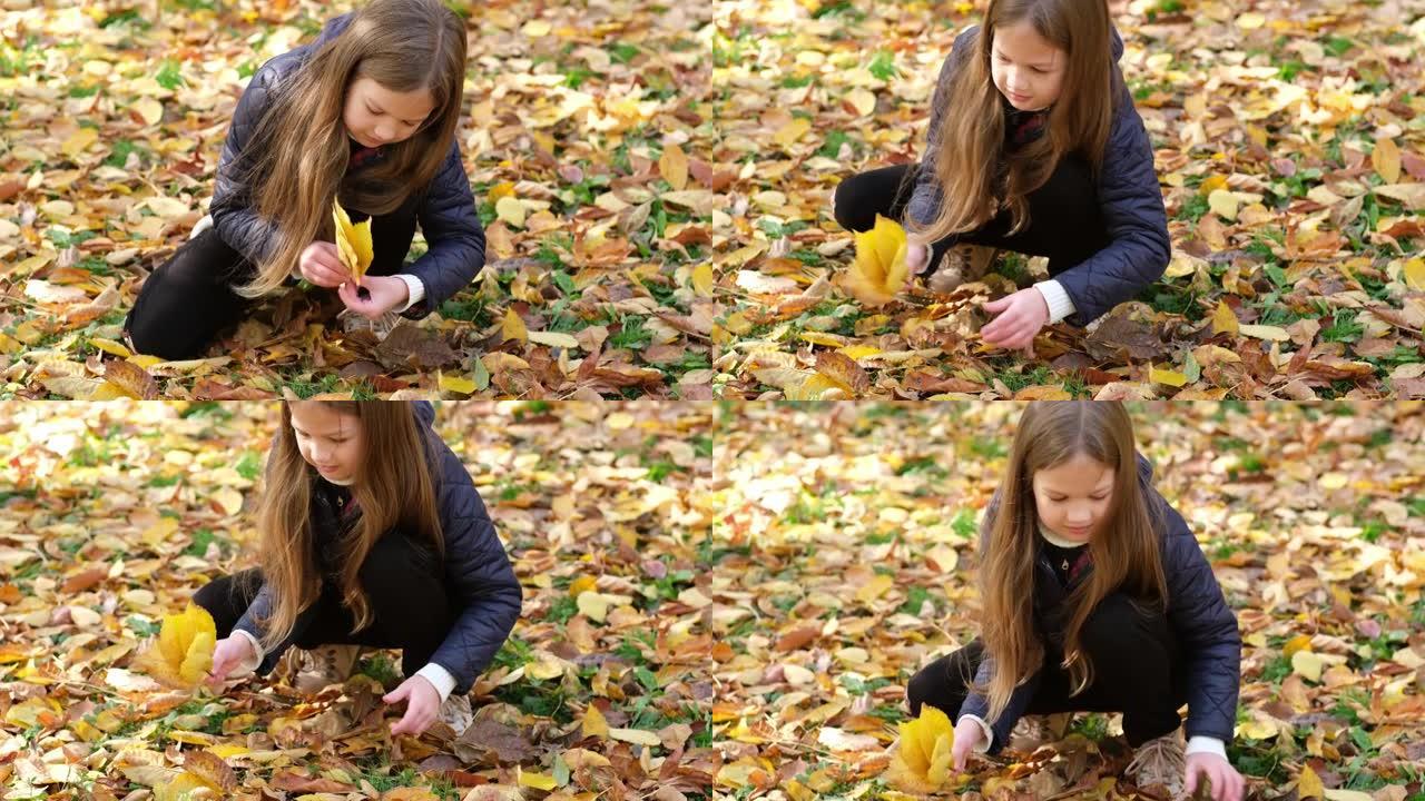 女孩在秋季公园收集树叶。可爱的金发小孩在户外。孩子在温暖的秋天玩得开心。快乐的童年。选择性聚焦