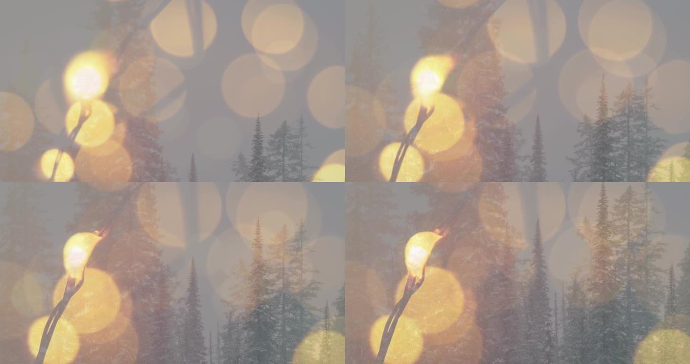 圣诞节模糊灯光下的冬季景观动画