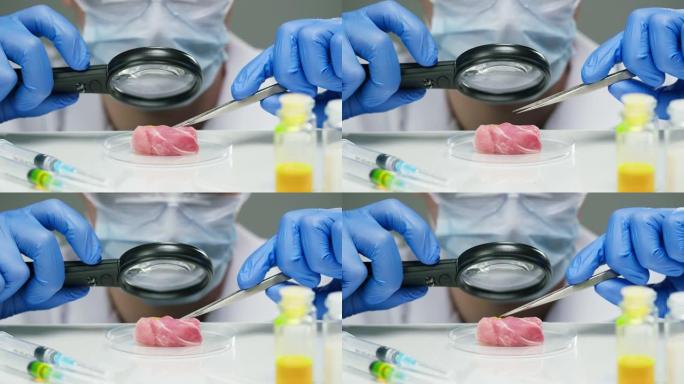 医学科学家专家在现代食品实验室用放大镜和镊子检查肉。产品的遗传修饰。微生物学家分析实验室种植的肉块