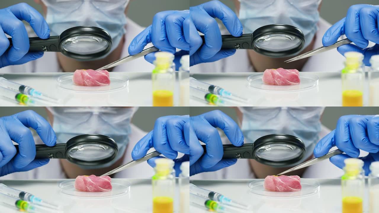 医学科学家专家在现代食品实验室用放大镜和镊子检查肉。产品的遗传修饰。微生物学家分析实验室种植的肉块