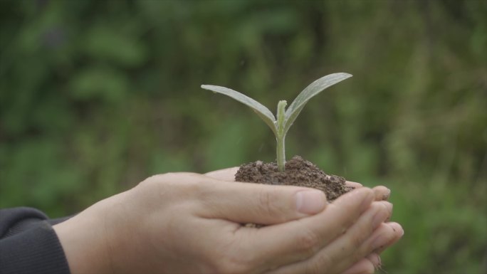 保护地球呵护生命关爱儿童公益基金手捧希望