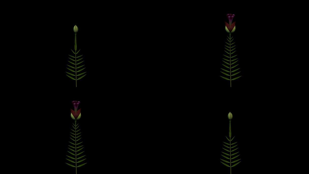 超现实植物生长植物生长延时三维动画视频素