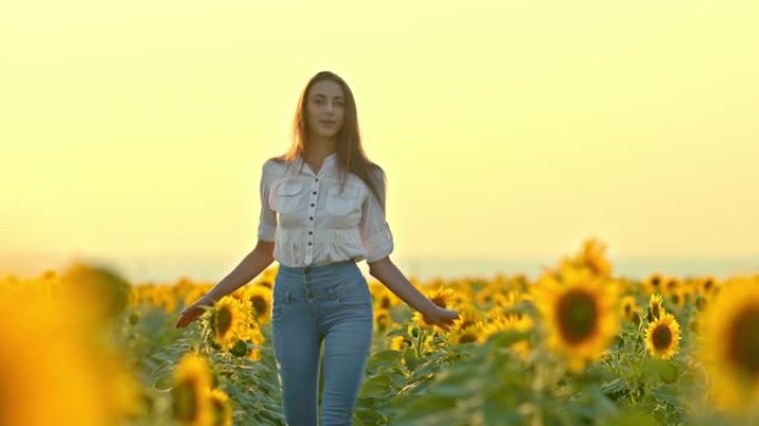 美丽可爱的女孩走在日落时盛开向日葵的田野里。快乐的女孩走过田野，用手触摸花朵。日落时美丽的风景。4k