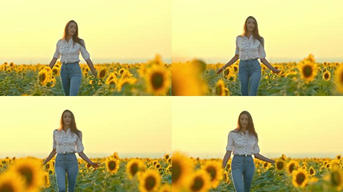 美丽可爱的女孩走在日落时盛开向日葵的田野里。快乐的女孩走过田野，用手触摸花朵。日落时美丽的风景。4k