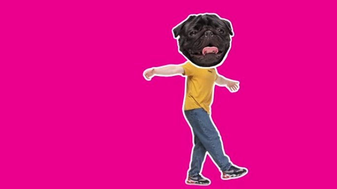 最小的动画动作设计。有趣的狗脸在跳舞的嘻哈男人。流行和舞蹈的情绪。年轻快乐的男性在定格，2D，现代，