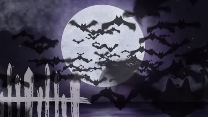月夜上空飞行蝙蝠动画天空背景