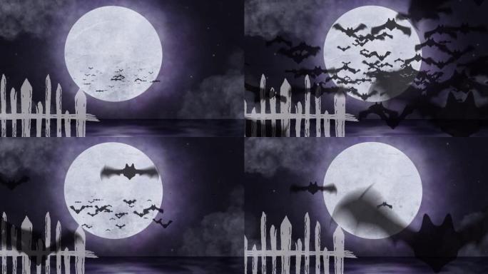 月夜上空飞行蝙蝠动画天空背景