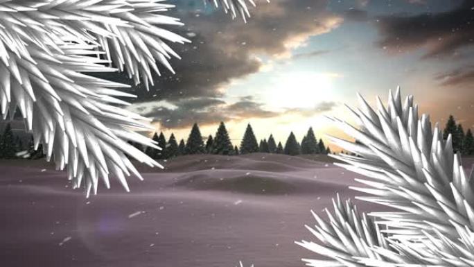 冬季景观中杉木树枝的动画