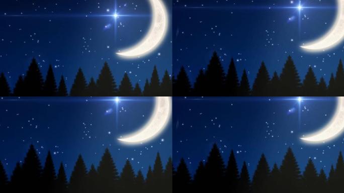 月亮和闪亮的星星在森林上的动画