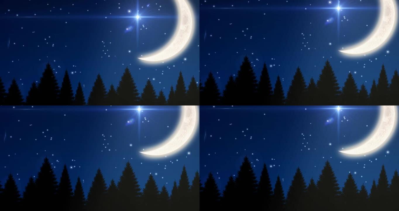 月亮和闪亮的星星在森林上的动画