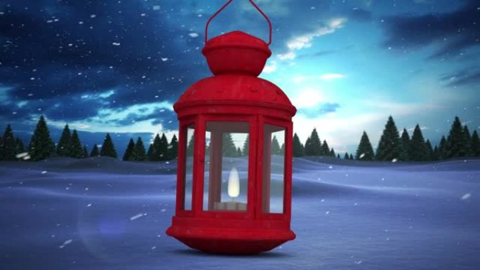 红色圣诞灯抵御冬季景观上多棵树上的积雪
