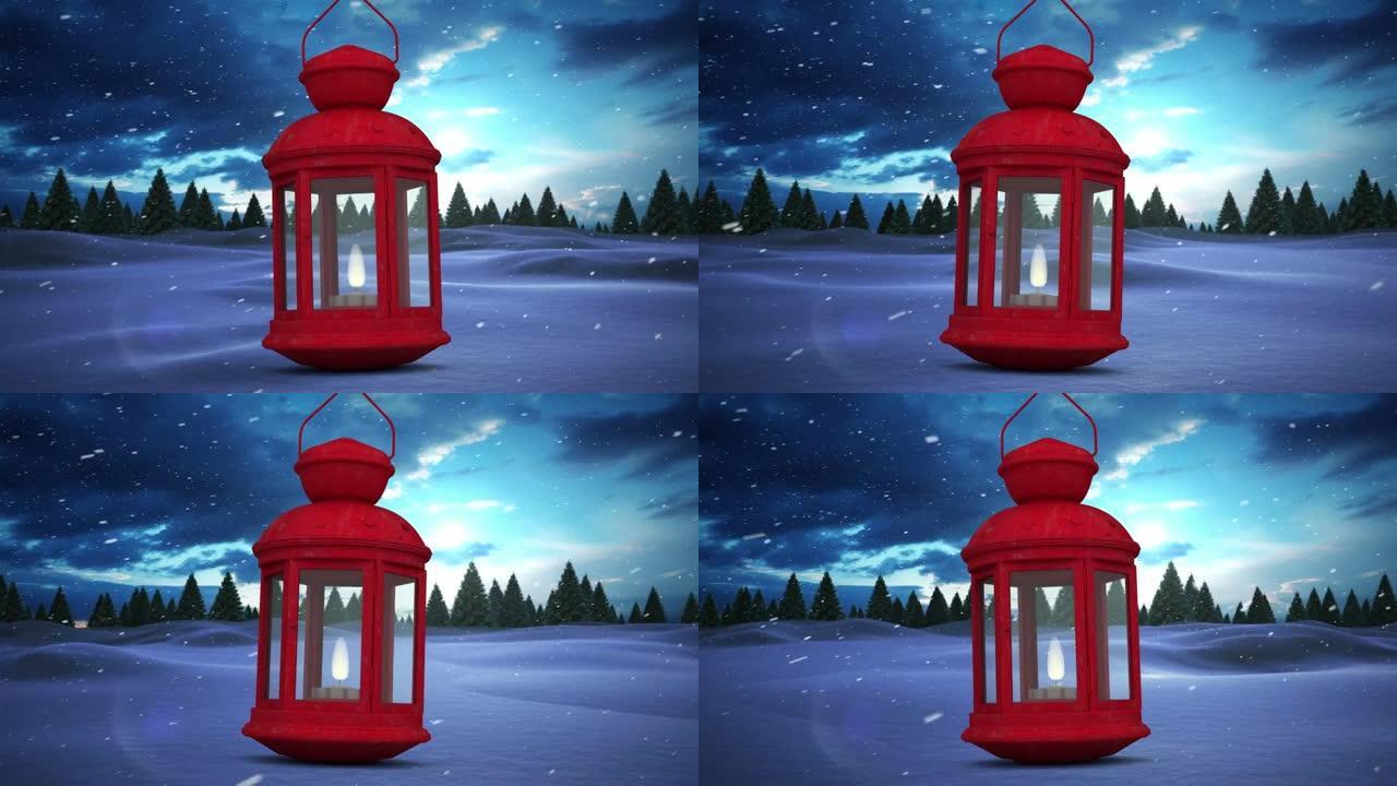 红色圣诞灯抵御冬季景观上多棵树上的积雪
