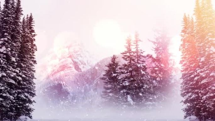 冬季景观上的光点和多束树