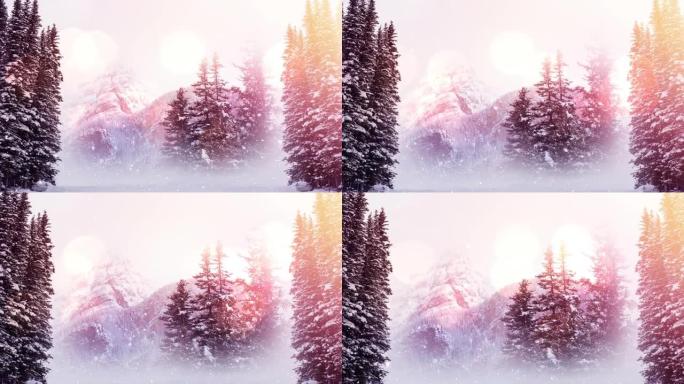 冬季景观上的光点和多束树