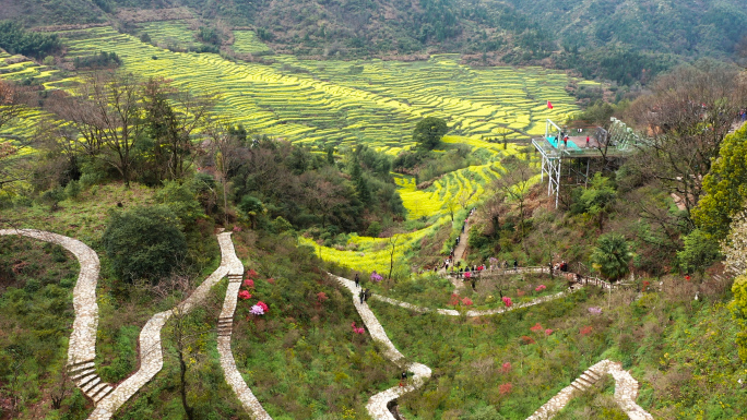 婺源篁岭景区杜鹃主题园大量人群观光