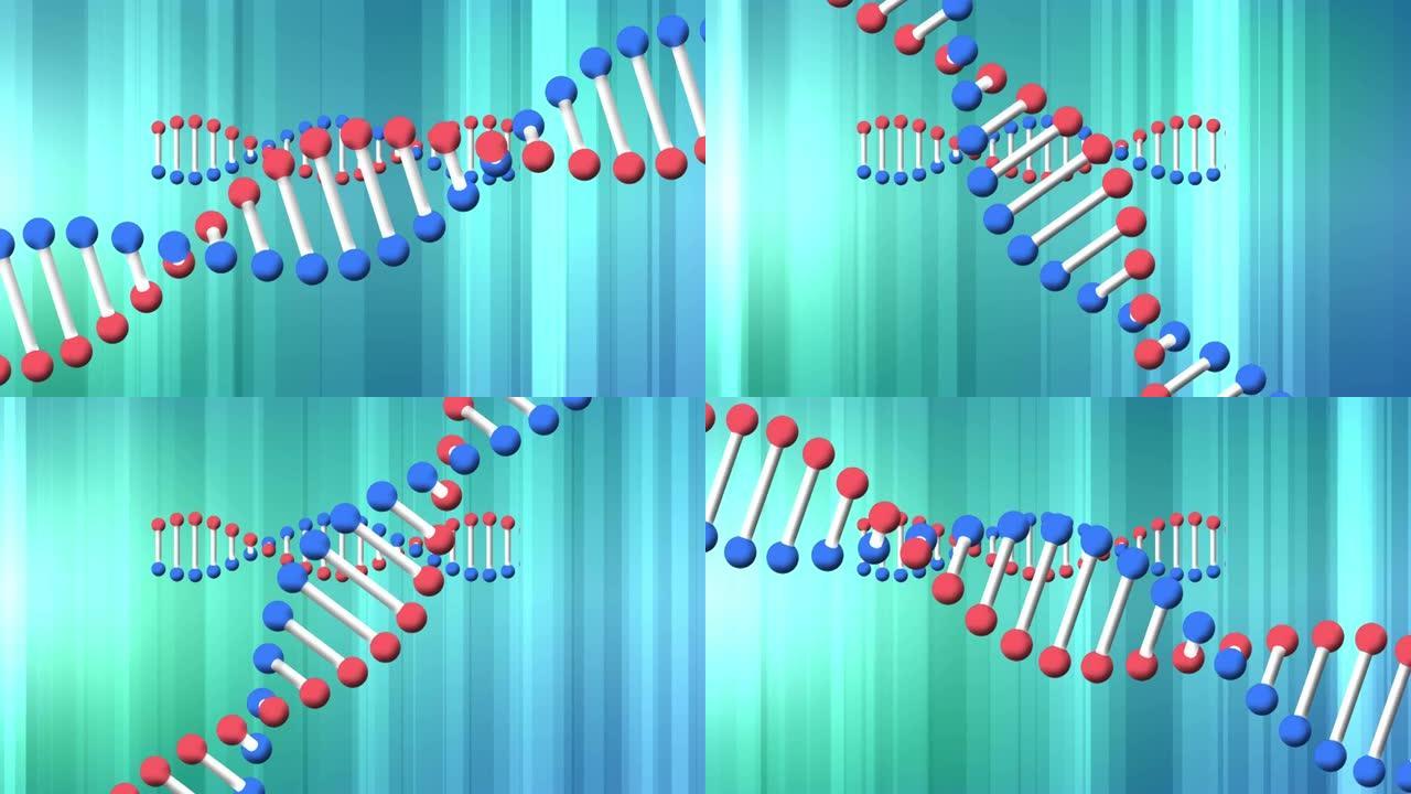 两个旋转的dna链在移动的蓝色光束上的动画