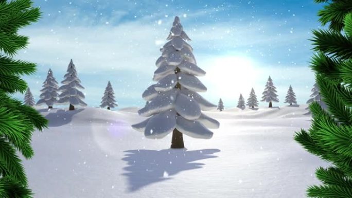 圣诞树树枝上的雪落在蓝色天空的冬季景观上的多棵树上