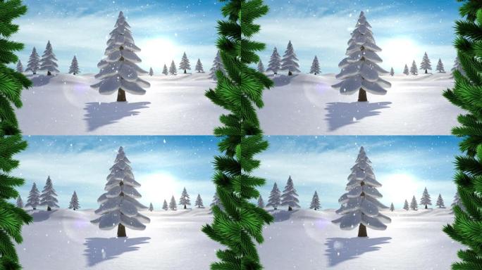 圣诞树树枝上的雪落在蓝色天空的冬季景观上的多棵树上