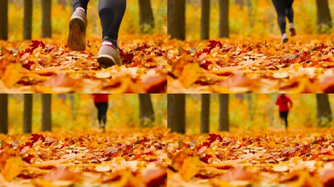 运动女子在秋天的森林里奔跑。特写一个运动员的腿跑过秋天的橘叶地毯