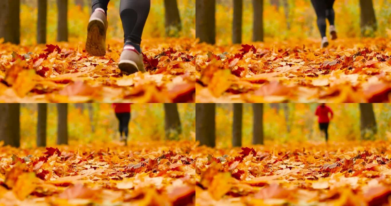 运动女子在秋天的森林里奔跑。特写一个运动员的腿跑过秋天的橘叶地毯