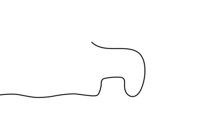 鹿的单线设计轮廓。手绘简约风格。动画插图。连续单线鹿轮廓。用手工素描绘制的线。圣诞概念。4k视频