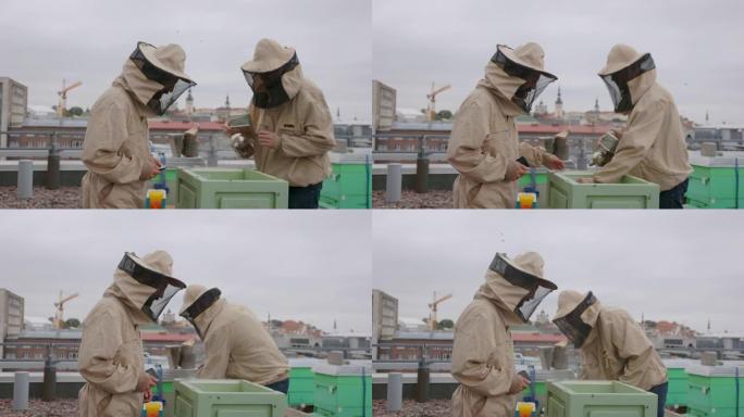 养蜂人给蜜蜂拍照蜂箱采蜂蜜蜂农