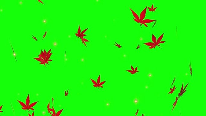秋枫叶粒子循环动画绿屏