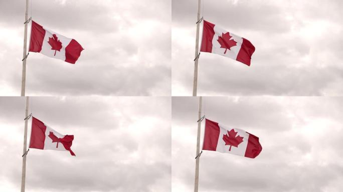 半旗加拿大国旗
