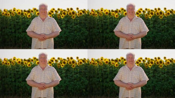 一位身穿格子衬衫的老人抱着双臂站在美丽的向日葵地里，脸上洋溢着喜悦的笑容