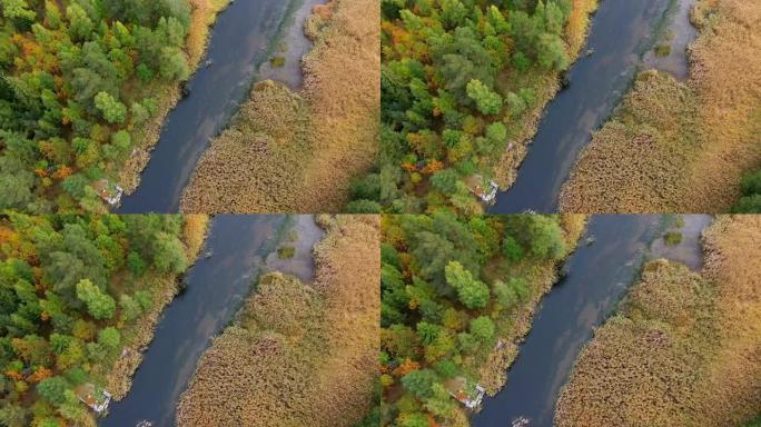 一条秋天的北部森林在一条河上，芦苇中有河道和沼泽的河岸，从无人驾驶飞机的顶部可以看到。离俄罗斯维堡市