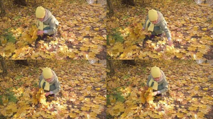 这个女孩在秋天的公园里收集黄色的叶子。一个穿着秋装的孩子，散步