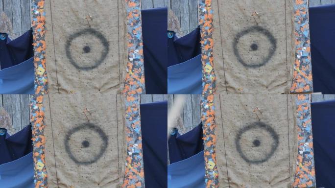 公园里用弓箭射击的户外中世纪目标，用于在夏日射箭。射箭靶，击中球门。目标板和箭头射击