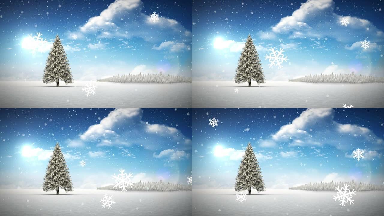 雪花落在冬季景观上的圣诞树上，蓝天上的云层