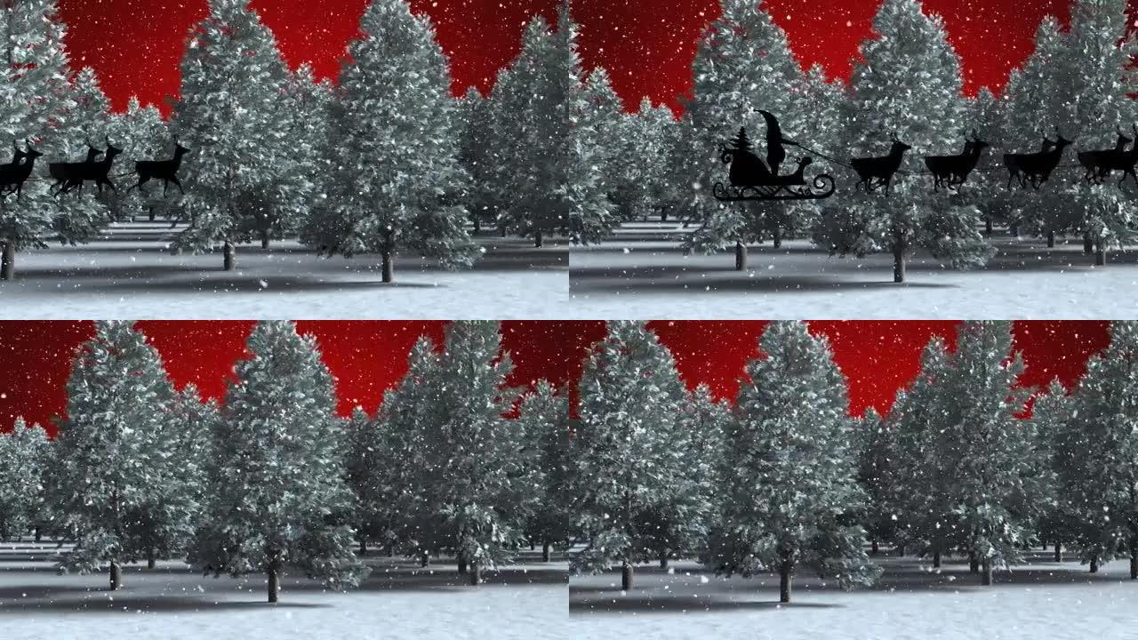 红色背景上的雪落在树木上的动画