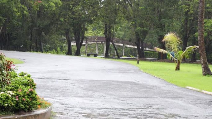 雨水滴落在地板上。夏天在公园倾盆大雨和绿树成荫。模糊的儿童在雨中骑自行车。