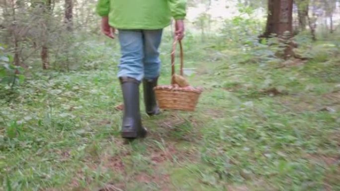 男孩走在美丽的森林里。针叶林采摘蘑菇。走进去
