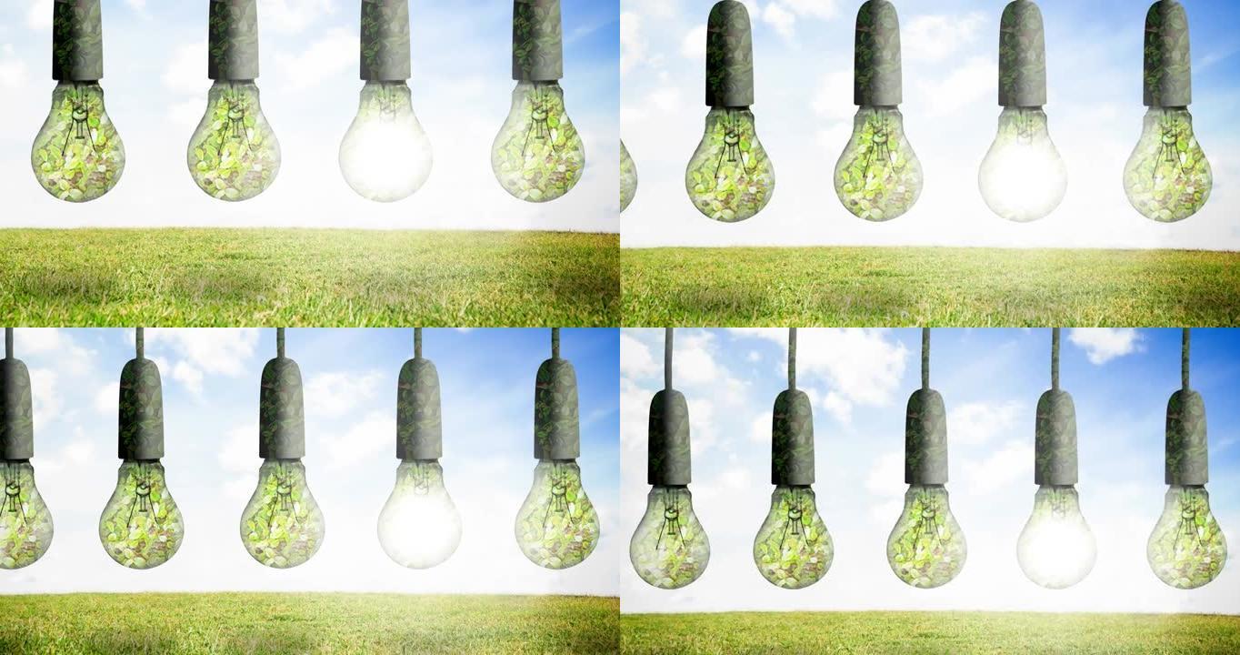悬挂在蓝天和草地上的充满植物的灯泡的动画