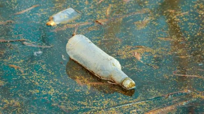 旧塑料瓶漂浮在沼泽或沼泽的水中。用过的空瓶留在水里。生态环境污染带来的生态概念垃圾灾害。废物污染问题