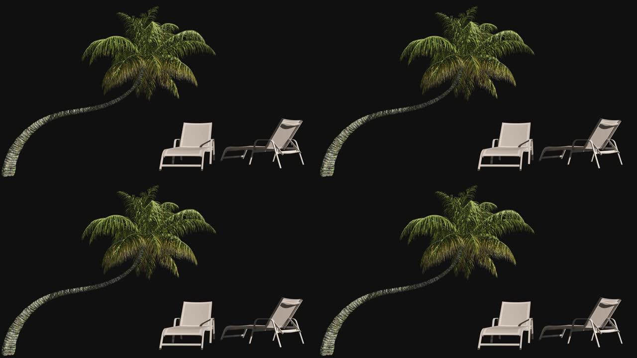 收获集棕榈树和海滩躺椅在透明背景与阿尔法通道。
