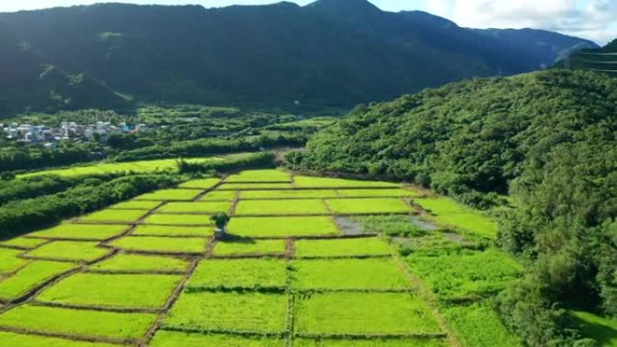 台湾屏东鸟瞰山谷农田