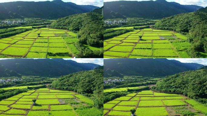 台湾屏东鸟瞰山谷农田