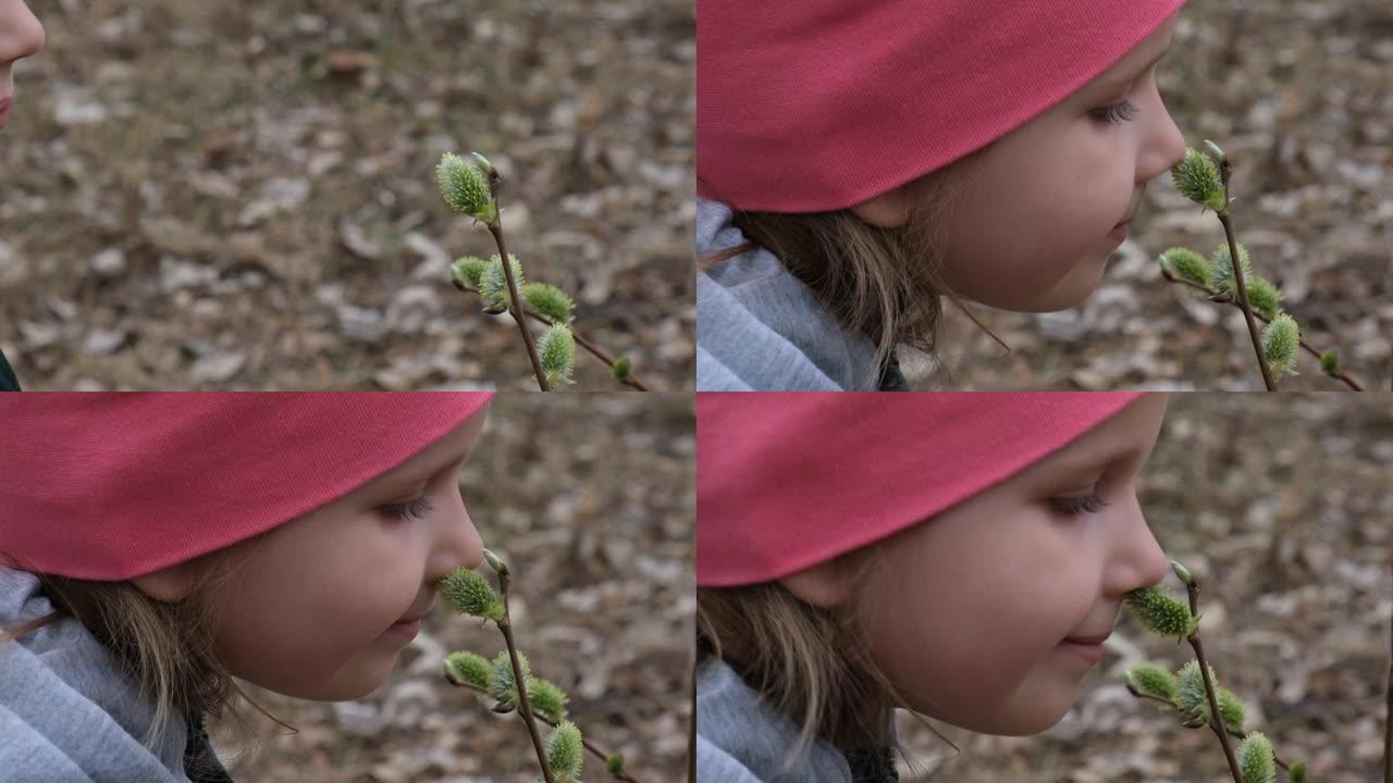 大自然中的小女孩吸入了开花柳树的气味。慢动作