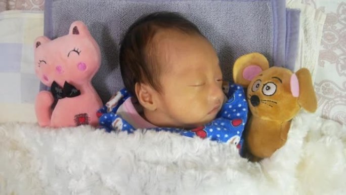男婴与老鼠和猫毛绒玩具一起睡觉